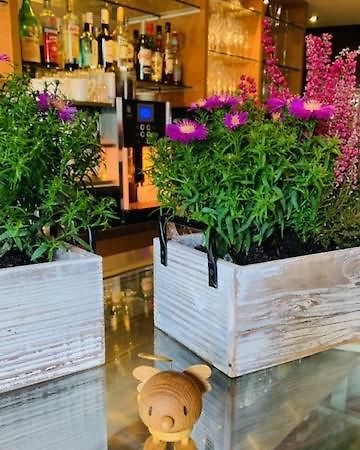 Weinhotel Eltvinum Eltville am Rhein Zewnętrze zdjęcie