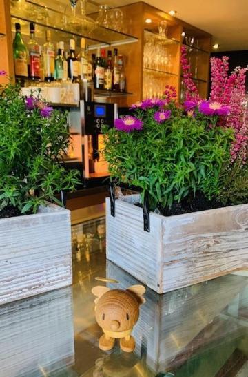 Weinhotel Eltvinum Eltville am Rhein Zewnętrze zdjęcie